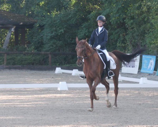 Reitturnier Leonberg 2024