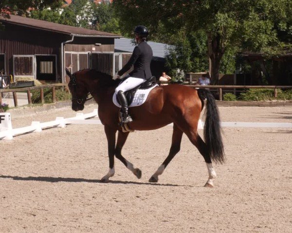 Reitturnier Leonberg 2024
