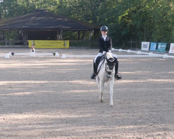 Reitturnier Leonberg 2024