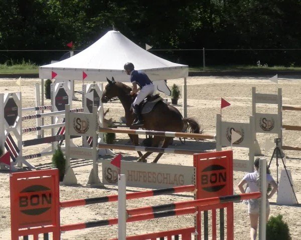 Reitturnier Maienfeld 2024