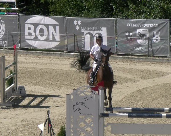 Reitturnier Maienfeld 2024