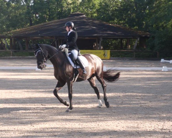 Reitturnier Leonberg 2024