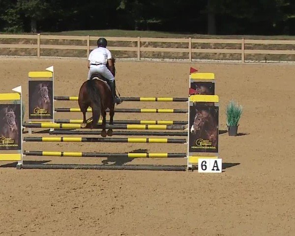 Reitturnier Tiefenhof/Opf. 2024
