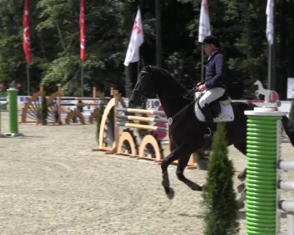 Reitturnier Cloppenburg 2013