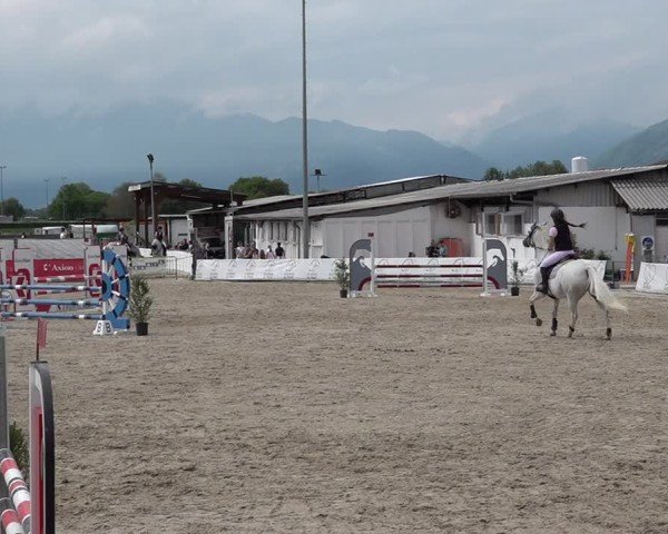 Reitturnier Giubiasco 2024