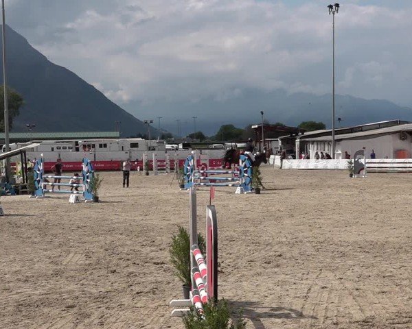 Reitturnier Giubiasco 2024