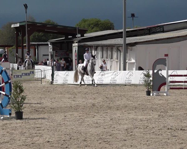 Reitturnier Giubiasco 2024