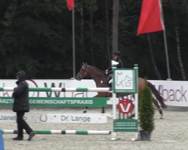 Reitturnier Cloppenburg 2013