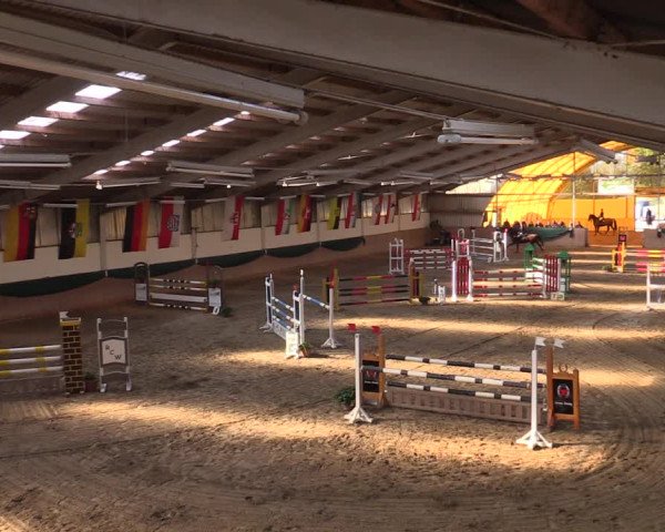 Reitturnier Wollersleben 2021