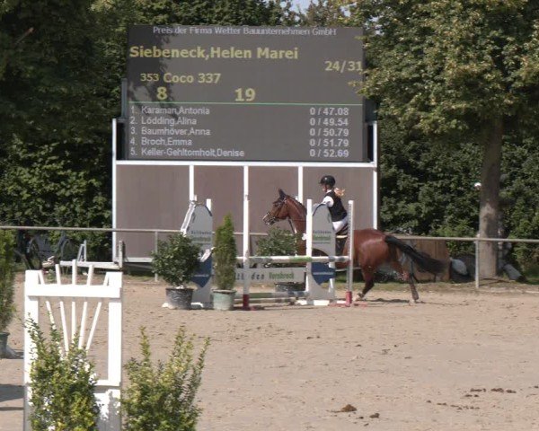 Reitturnier Appelhülsen 2024