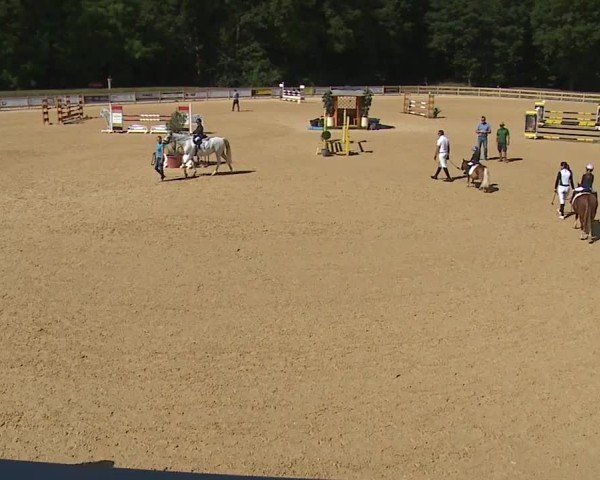 Reitturnier Tiefenhof/Opf. 2024