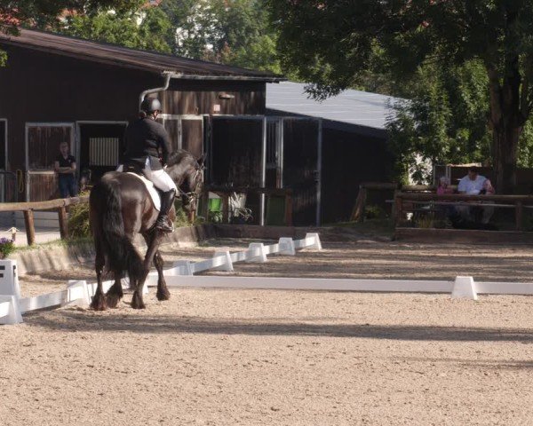 Reitturnier Leonberg 2024