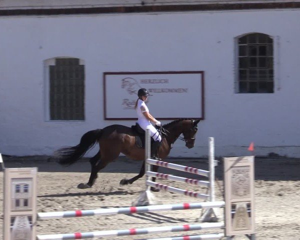 Reitturnier Oppin 2024