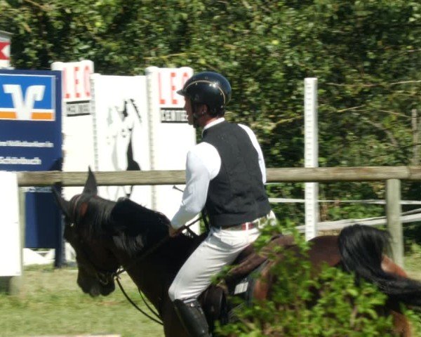 Reitturnier Leonberg 2024