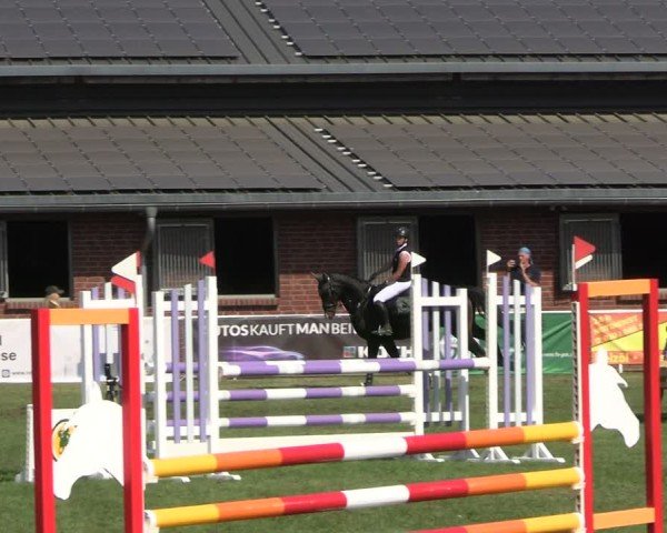 Reitturnier Münchehofe 2024