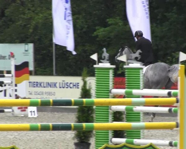 Reitturnier Cloppenburg 2013