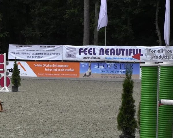 Weser-Ems-Meisterschaften 2013