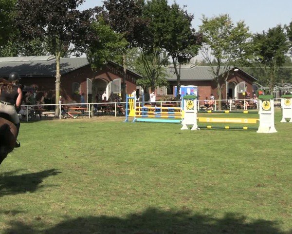 Reitturnier Münchehofe 2024
