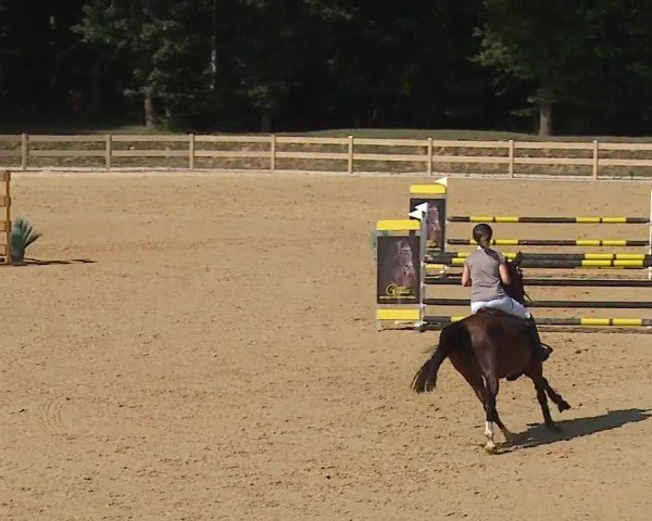 Reitturnier Tiefenhof/Opf. 2024