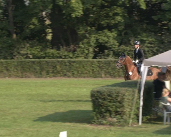 Reitturnier Westeregeln 2024