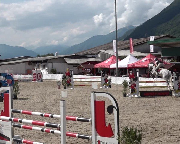 Reitturnier Giubiasco 2024