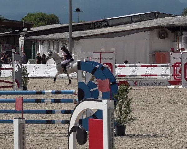 Reitturnier Giubiasco 2024
