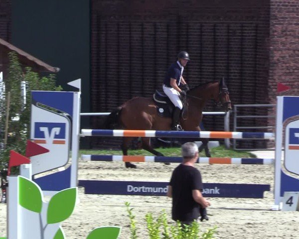 Reitturnier Dortmund-Barop 2024