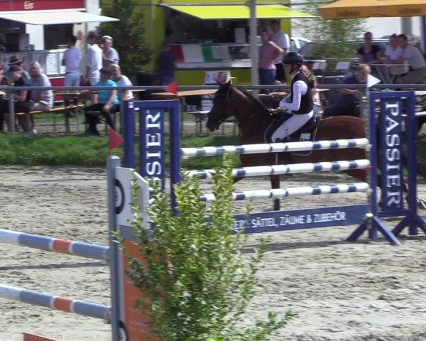 Reitturnier Dortmund-Barop 2024