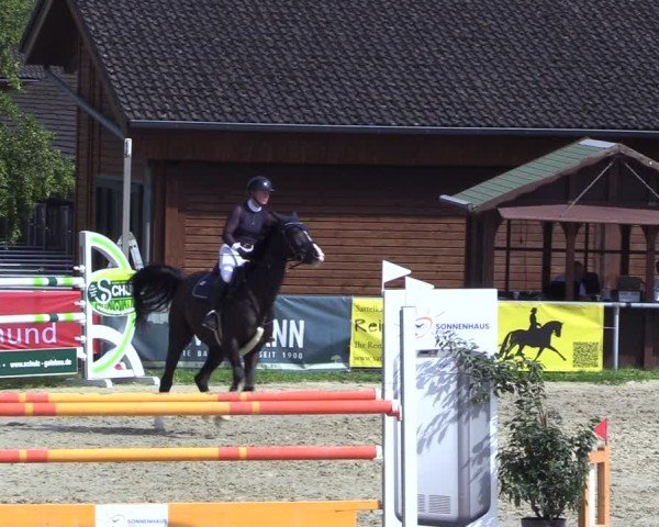 Reitturnier Dortmund-Barop 2024