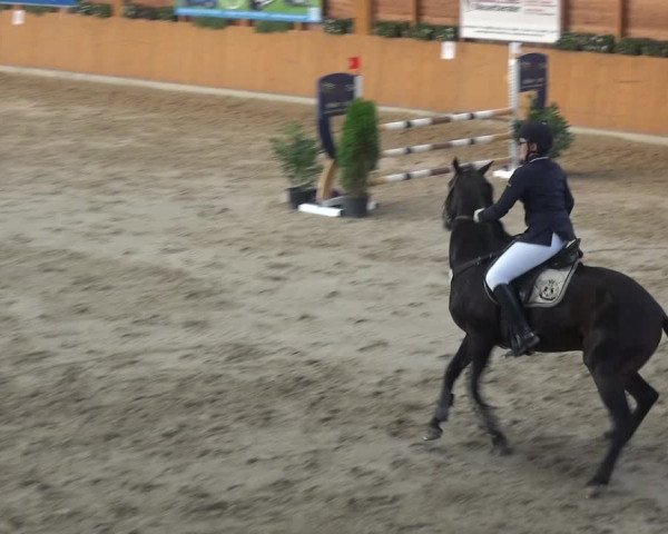 Springturnier Xanten - Reitanlage Miss 2021