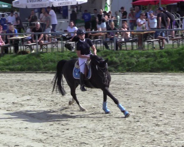 Reitturnier Dortmund-Barop 2024