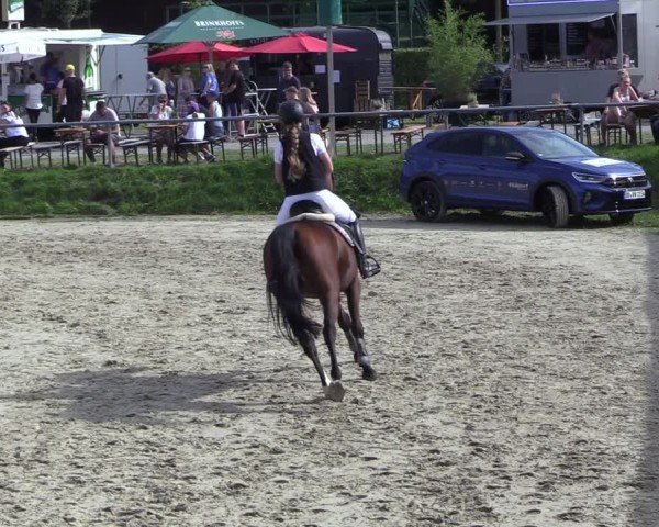 Reitturnier Dortmund-Barop 2024