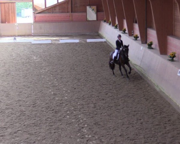 Reitturnier Dortmund-Barop 2024