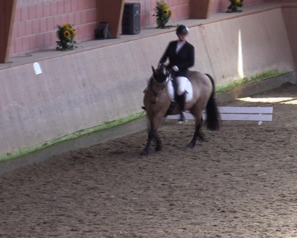 Reitturnier Dortmund-Barop 2024