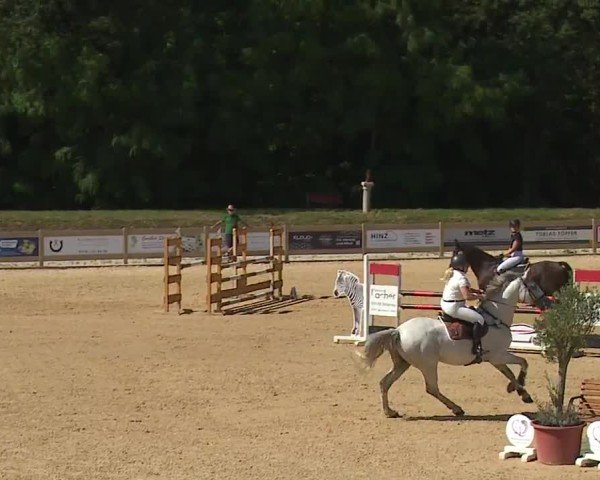 Reitturnier Tiefenhof/Opf. 2024