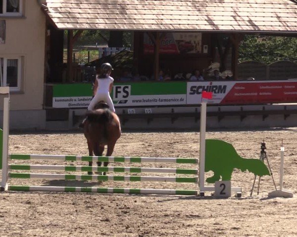 Reitturnier Lgl.-Oberhain, B95 2024