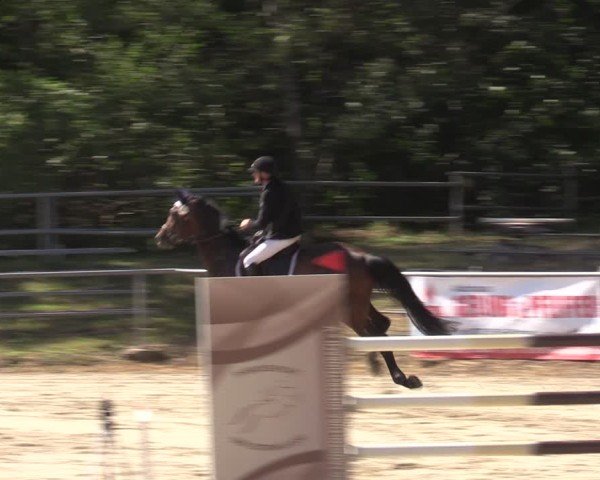 Reitturnier Lgl.-Oberhain, B95 2024