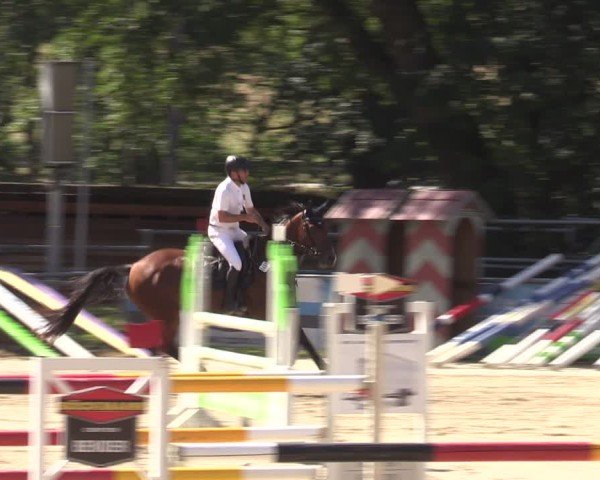 Reitturnier Lgl.-Oberhain, B95 2024