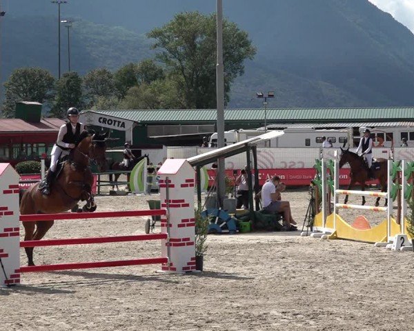 Reitturnier Giubiasco 2024