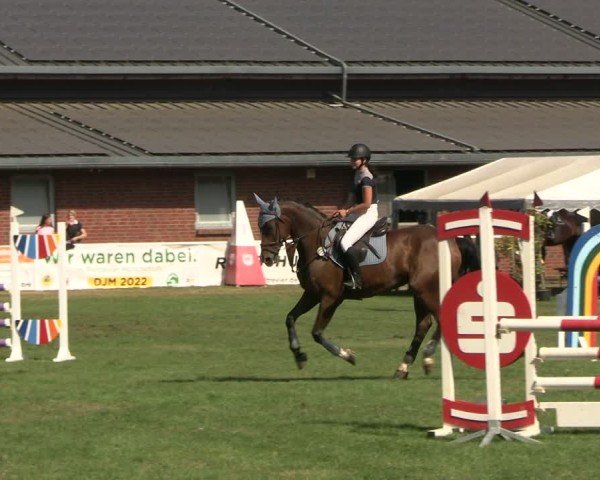 Reitturnier Münchehofe 2024