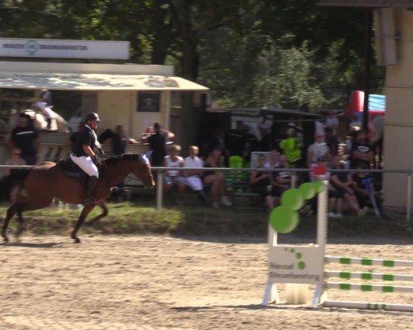 Reitturnier Lgl.-Oberhain, B95 2024