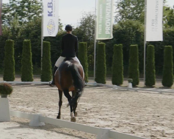 Reitturnier Meinerzhagen 2024