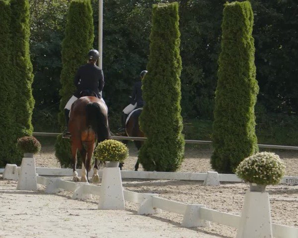 Reitturnier Meinerzhagen 2024