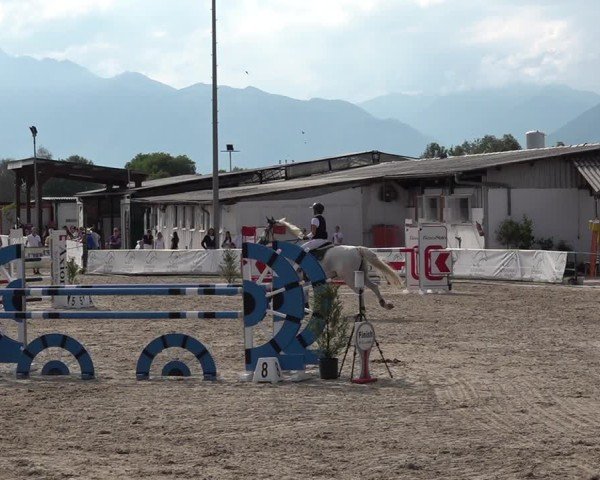 Reitturnier Giubiasco 2024