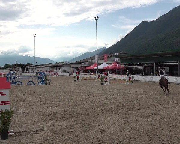 Reitturnier Giubiasco 2024