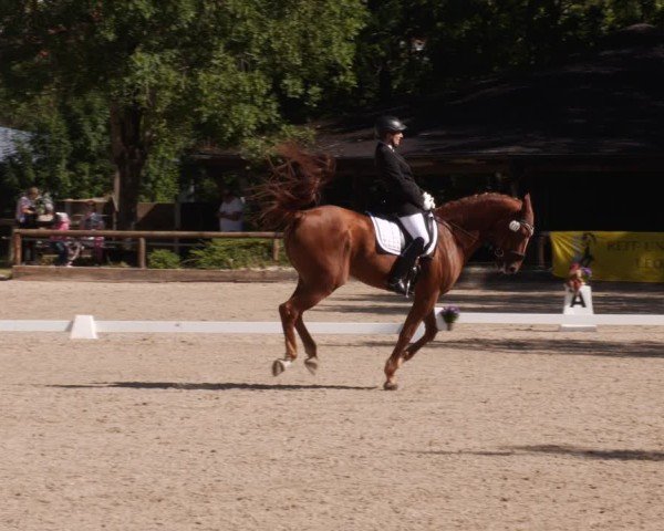 Reitturnier Leonberg 2024