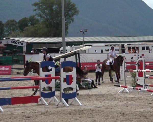 Reitturnier Giubiasco 2024