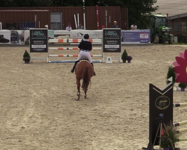 Reitturnier Leichlingen-Witzhelden 2024