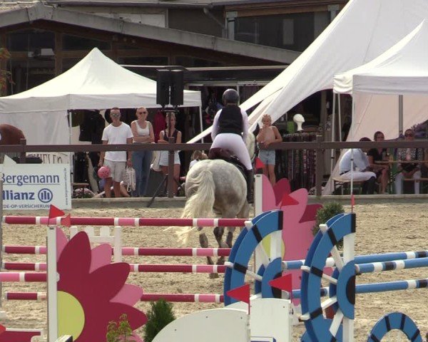 Reitturnier Leichlingen-Witzhelden 2024