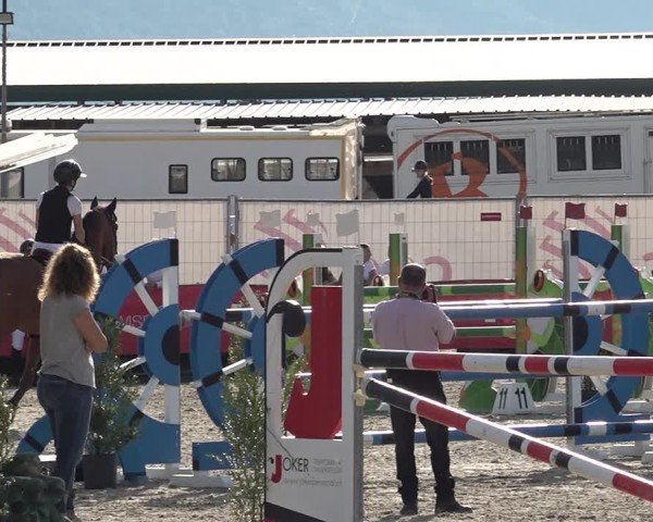 Reitturnier Giubiasco 2024